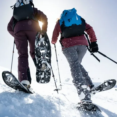 Image mise en avant de EVVO SNOWSHOES