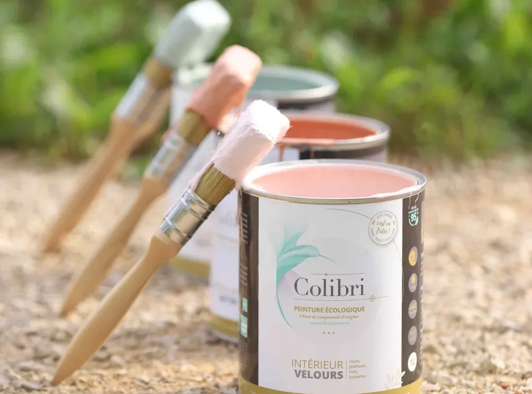 Image 4 de COLIBRI PEINTURE
