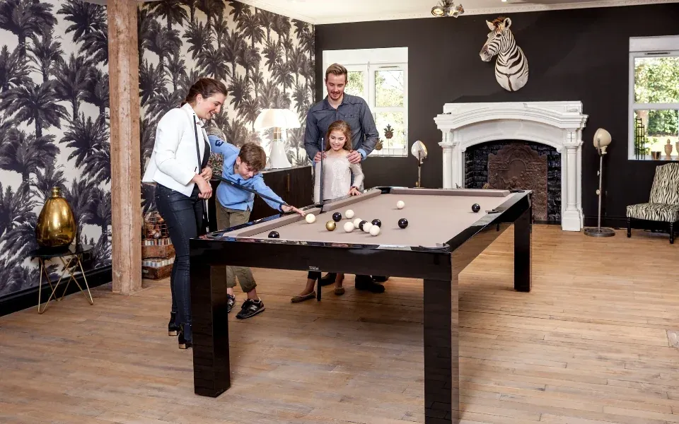 Image 3 de BILLARDS TOULET
