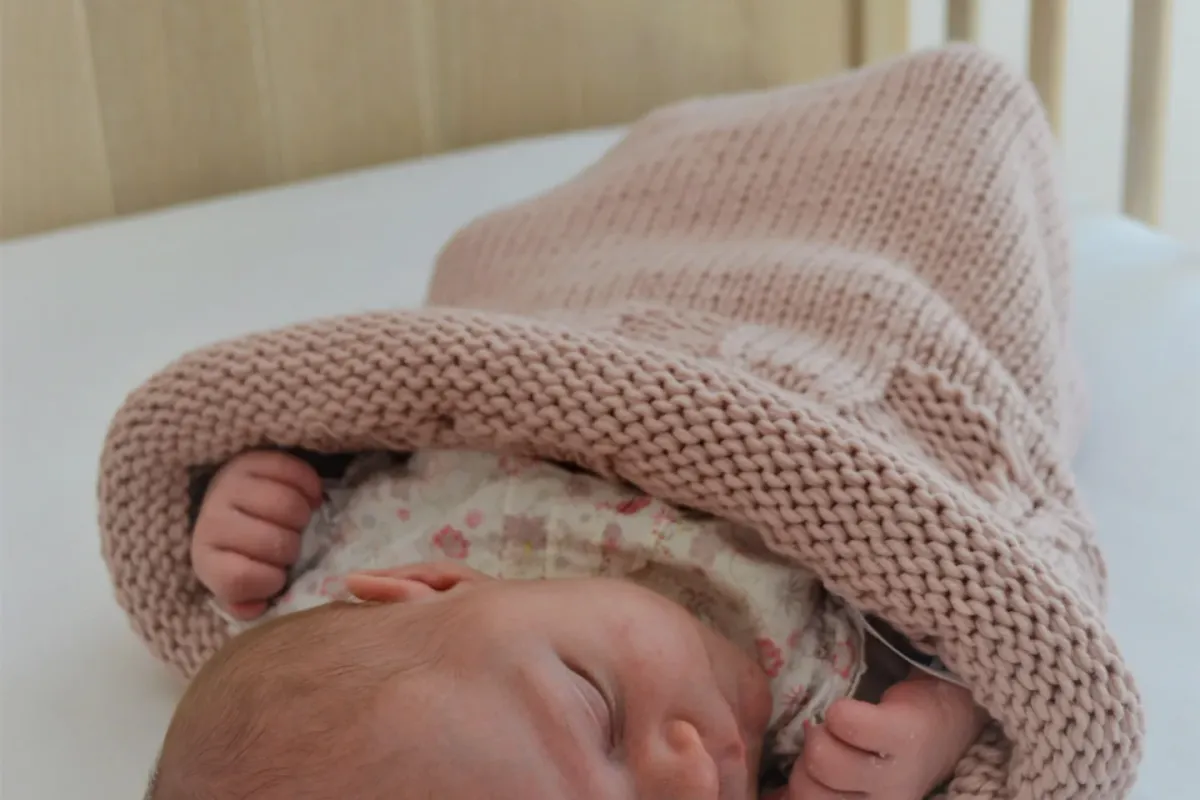 Image 2 de MA PETITE LAINE