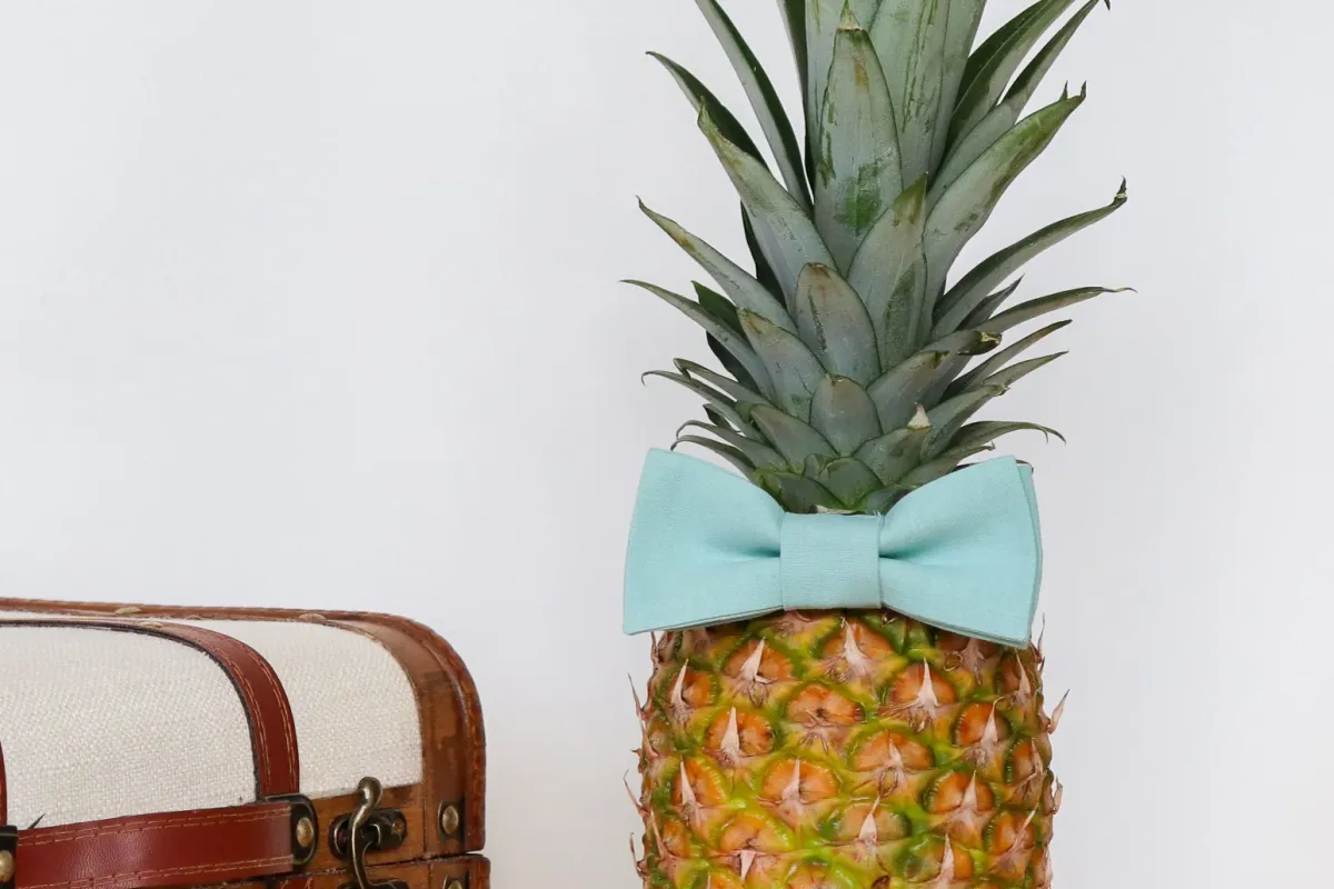 Image 4 de COMPTOIR D'ANANAS
