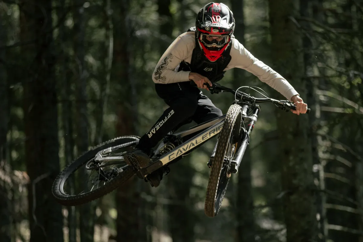 Image 6 de CAVALERIE BIKES