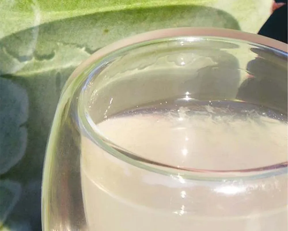 Image 6 de NATURALOE