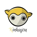 Logo de KINKAJOU