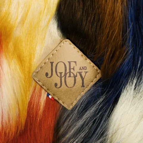 Image mise en avant de JOE AND JOY