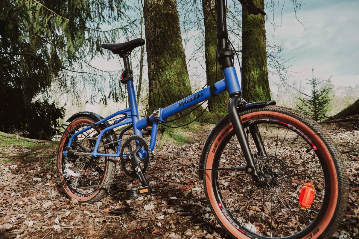 Image 2 de MYLULUBIKE