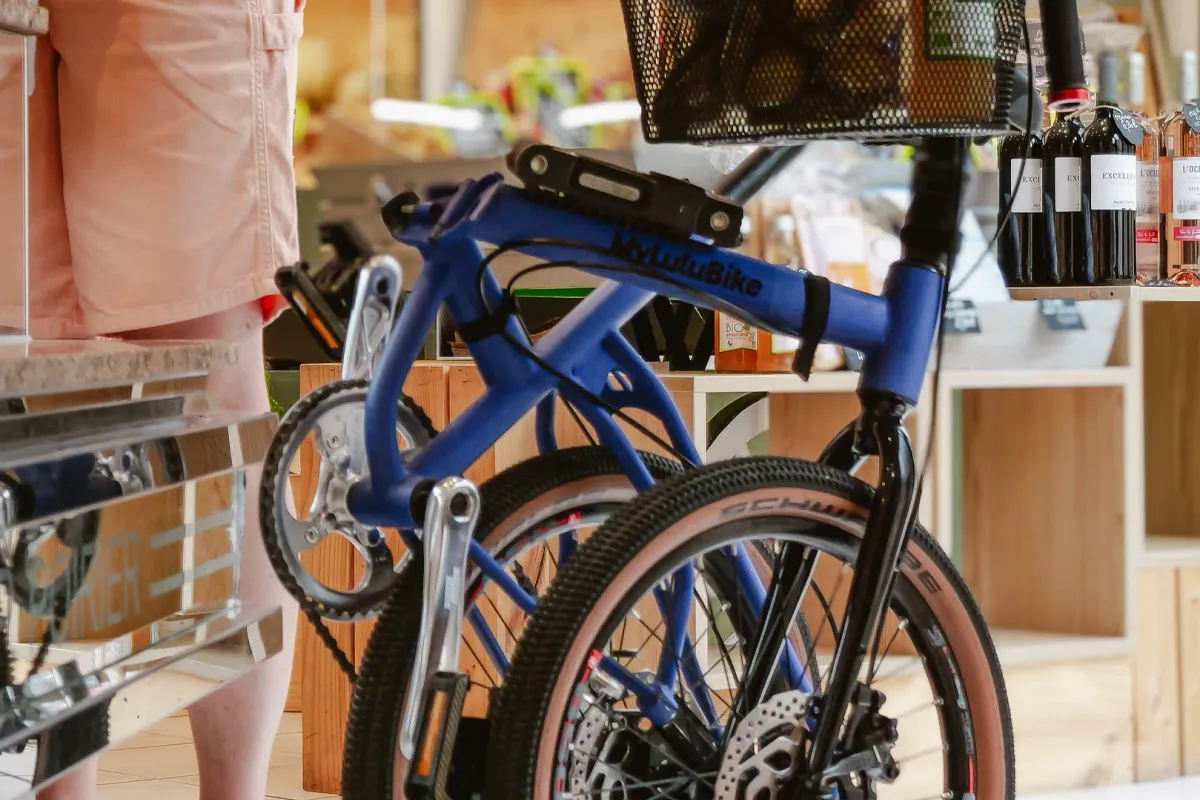 Image 6 de MYLULUBIKE