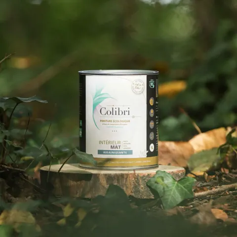 Image mise en avant de COLIBRI PEINTURE