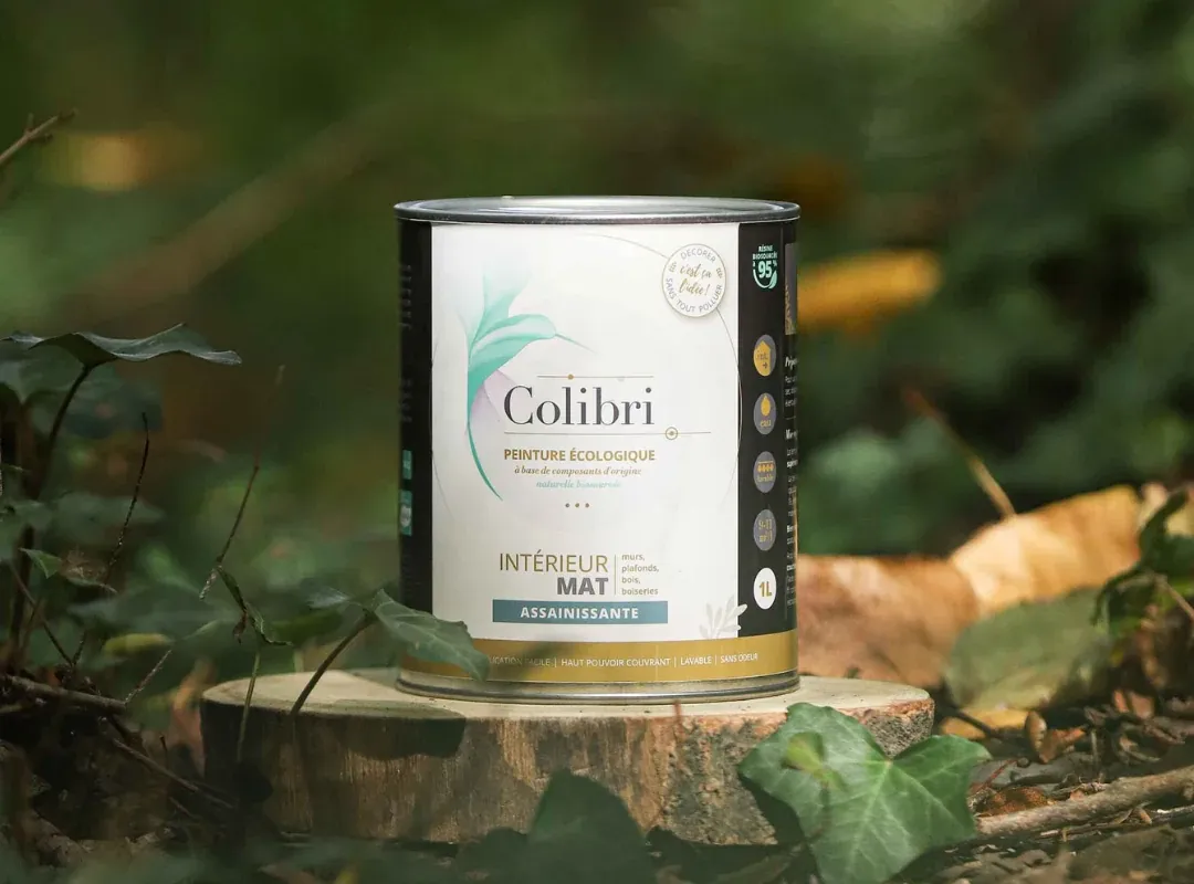 Image 7 de COLIBRI PEINTURE